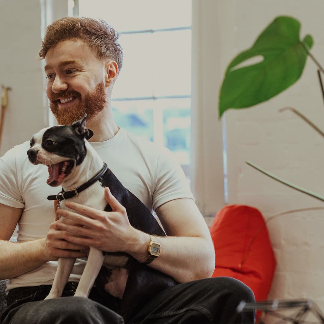 Team member Gordon smiles while holding one of the office dogs - a Boston Terrier called 'Saul'